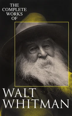 Walt Whitman The Complete Works of Walt Whitman обложка книги