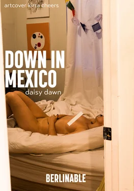 Daisy Dawn Down in Mexico обложка книги