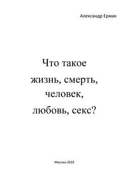 Александр Ермак Что такое жизнь, смерть, человек, любовь, секс? (Ответы детям на взрослые вопросы) обложка книги