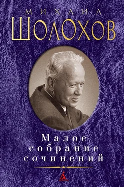 Михаил Шолохов Малое собрание сочинений обложка книги