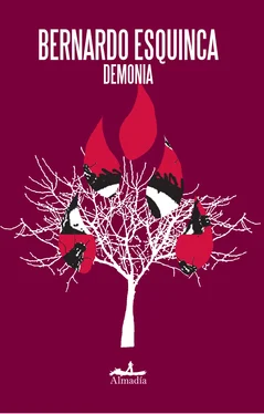 Bernardo Esquinca Demonia обложка книги