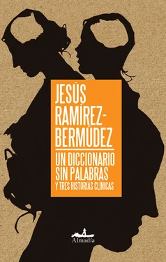 Jesús Ramírez-Bermúdez Un diccionario sin palabras обложка книги