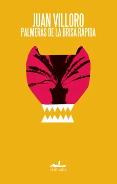 Juan Villoro Palmeras de la brisa rápida обложка книги