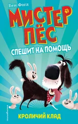 Бен Фогл - Кроличий клад