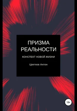 Антон Цветков Призма реальности обложка книги