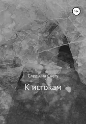 Следы на Снегу - К истокам