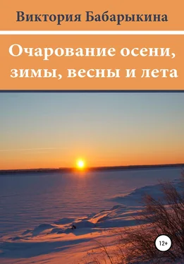 Виктория Бабарыкина Очарование осени, зимы, весны и лета обложка книги