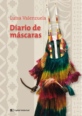 Luisa Valenzuela Diario de máscaras обложка книги