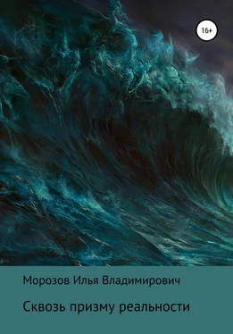 Илья Морозов Сквозь призму реальности обложка книги