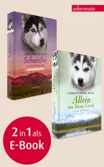 Christopher Ross - Allein am Stony Creek / Schutzlos am Red Mountain