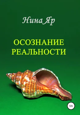 Нина Яр Осознание реальности обложка книги