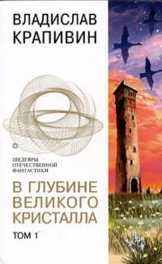 Владислав Крапивин В глубине Великого Кристалла. Том 1 обложка книги