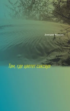 Дмитрий Чурилов Там, где цветет саксаул обложка книги