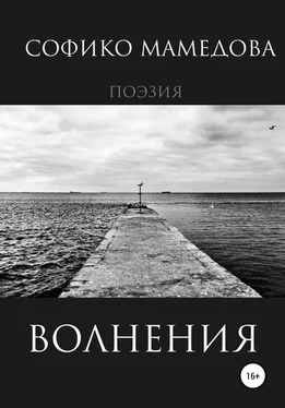 Софико Мамедова Волнения обложка книги