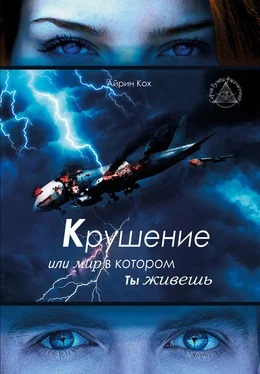 Айрин Кох Крушение или мир в котором ты живешь обложка книги