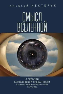 Алексей Нестерук Смысл вселенной. О скрытой богословской преданности в современном космологическом нарративе обложка книги