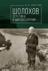 Евгений Костин - Шолохов - эстетика и мировоззрение