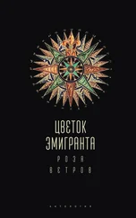 Array Коллектив авторов - Цветок эмигранта. Роза ветров. Антология