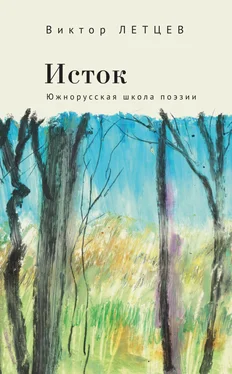 Виктор Летцев Исток. Южнорусская школа поэзии обложка книги