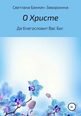 Светлана Бахмач-Заворохина О Христе обложка книги