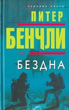 Питер Бенчли Бездна обложка книги