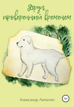 Александр Лопатин Друг, проверенный временем обложка книги