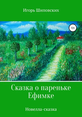 Игорь Шиповских Сказка о пареньке Ефимке обложка книги