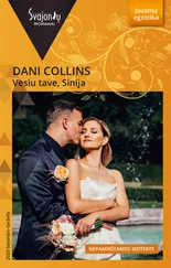 Dani Collins - Vesiu tave, Sinija