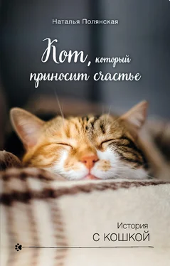 Наталия Полянская Кот, который приносит счастье обложка книги