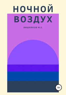 Максим Вишняков Ночной воздух обложка книги