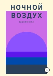 Максим Вишняков - Ночной воздух