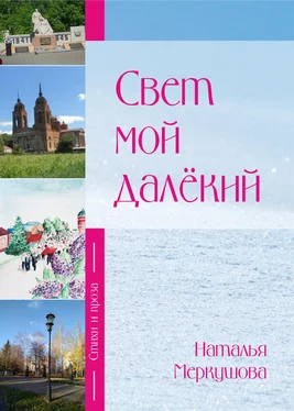 Наталья Меркушова Свет мой далекий обложка книги