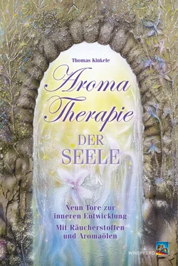 Thomas Kinkele Aromatherapie der Seele обложка книги