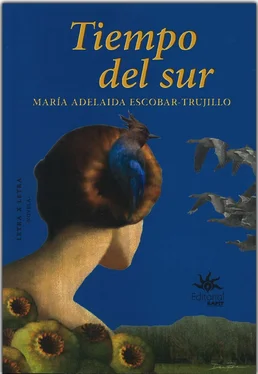 María Adelaida Escobar-Trujillo Tiempo del sur обложка книги