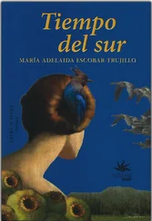 María Adelaida Escobar-Trujillo - Tiempo del sur