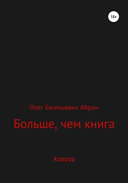 Олег Абрам Больше, чем книга обложка книги