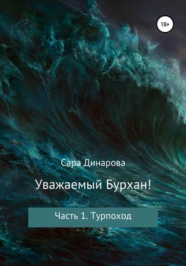 Сара Динарова Уважаемый Бурхан! Часть 1. Турпоход обложка книги