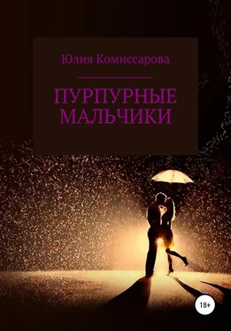 Юлия Комиссарова Пурпурные мальчики обложка книги
