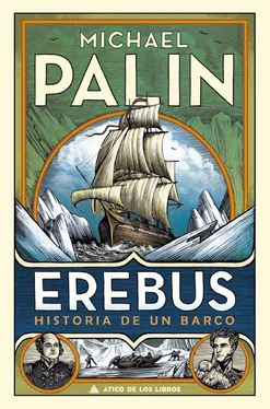 Michael Palin Erebus обложка книги