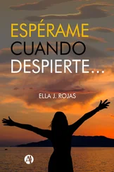 Ella J. Rojas - Espérame cuando despierte
