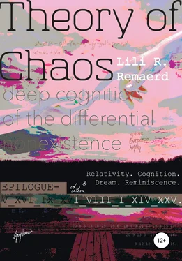 Lili R. Remaerd Theory of Chaos обложка книги