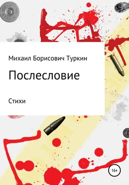 Михаил Туркин Послесловие обложка книги