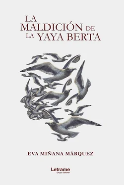 Eva Miñana Marquéz La maldición de la yaya Berta обложка книги