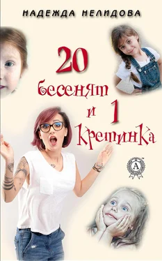 Надежда Нелидова 20 бесенят и 1 кретинка обложка книги