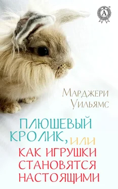 Марджери Уильямс Плюшевый Кролик, или Как игрушки становятся настоящими обложка книги