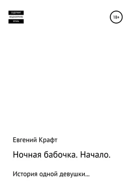 Евгений Крафт Ночная бабочка. Начало обложка книги