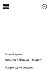 Евгений Крафт - Ночная бабочка. Начало