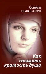 М. Молотников - Как стяжать кротость души? Святые отцы о кротости