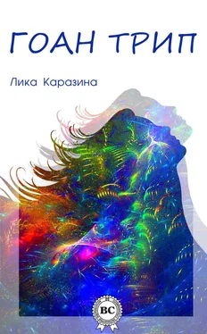 Лика Каразина Гоан трип обложка книги