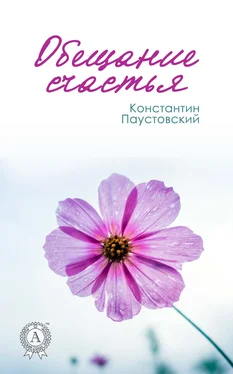 Константин Паустовский Обещание счастья обложка книги